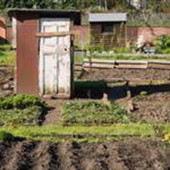 Sheds